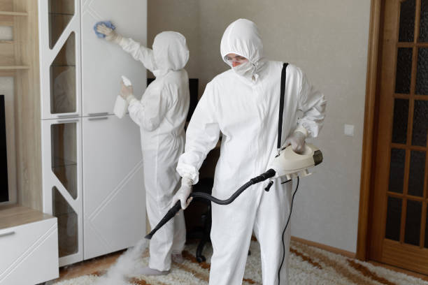 24/7 Emergency Odor Removal experts in Burbank, CA