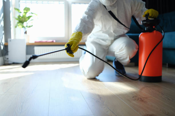 Reliable Odor Removal contractor in Burbank, CA by Dulley Family Biohazard Services